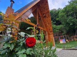 Cabana AFrame Olanesti，位于百乐&middot;奥拉内斯蒂的宠物友好酒店