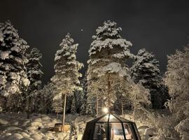 Aurora Igloo with private hot tub by Invisible Forest Lodge，位于罗瓦涅米的豪华帐篷