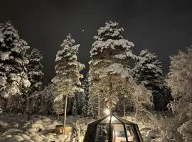 Aurora Igloo with private hot tub by Invisible Forest Lodge