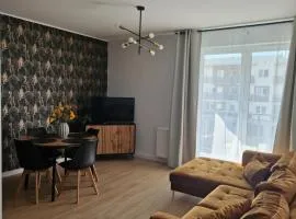 Apartament Staromiejski Rapackiego 45