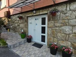 Studio apartman Big Lili