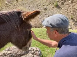 Au Graé - Maison à louer à Laruns Béarn