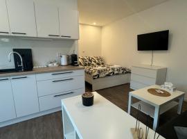 RK Apartment Brno，位于布尔诺的酒店