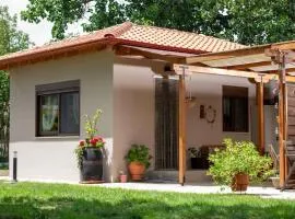 Nerium - Golden Fig Sykia lodge
