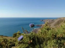 Kiberick Cottage at Crackington Haven, near Bude and Boscastle, Cornwall