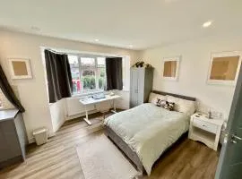 Delightful Studio in Wimbledon