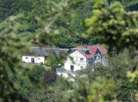 Ferienwohnung Schäfer，位于Waldbreitbach的酒店