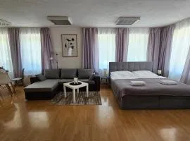 Apartmány v Zlatej uličke