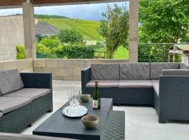 Charmant gîte au cœur des vignes - Rive de Champagne