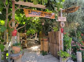 Litost Cafe，位于阿德拉桑的酒店