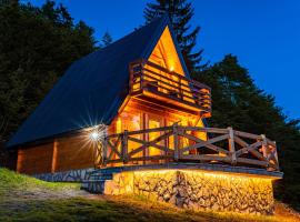Mountain House Komovi-Radunovic DE LUX，位于Ljubaštica的酒店