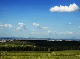 姆鲁葡萄酒度假村