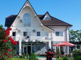 Tina Guest House，位于Basarabi的酒店