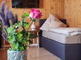 City Apartment Triberg，位于特里贝格的酒店