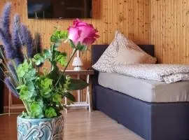 City Apartment Triberg