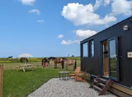 Tiny House La Cavalerie, au milieu des chevaux !