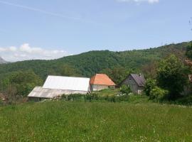 Seosko domaćinstvo Aprcović，位于普卢日内的酒店