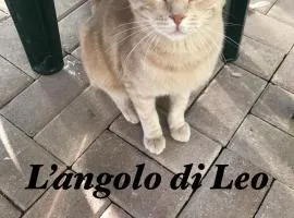 L'Angolo di Leo