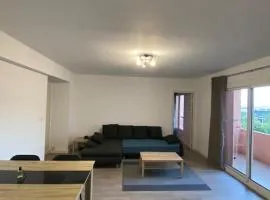 grand f2 climatisé avec wifi plein centre BORGO