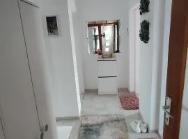Sokobanja na dlanu