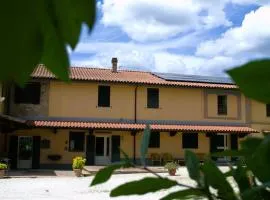 艾普拉蒂农庄农家乐