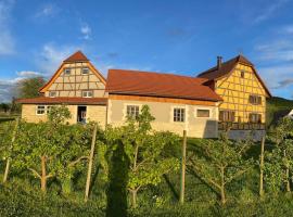 Ancienne ferme de Charles，位于Liebsdorf的酒店