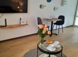 Studio cosy et moderne