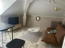 Grand appartement T2 Samois - Rickhoss Home