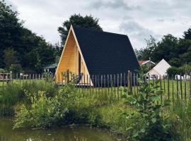 A-Frame Vijverhuisje met uitzicht over de vijver，位于Jubbega-Schurega的山林小屋