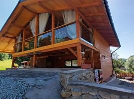 Chalet Alina，位于博尔沙的木屋