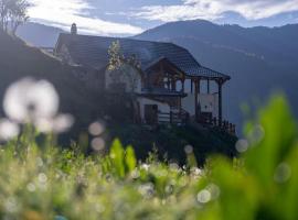 Alpin Zeneli Chalet，位于Çerem的酒店