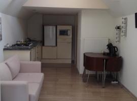 边境支柱一室公寓，位于Nijeveen的酒店