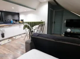 Appartement de charme centre ville