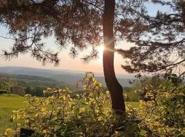 Ferienwohnung Saalfeld - Sommerfrische Burkersdorf