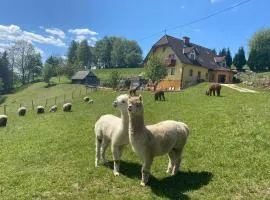 Biohof Kroisleitner Ferienwohnung Rundumblick
