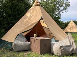 Boltinge Glamping，位于Ringe的豪华帐篷