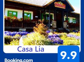 Casa Lia，位于Valea Putnei的酒店