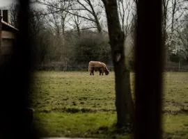 Honeywood Farm Cabins