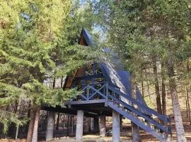 A frame Cuib de Vultur