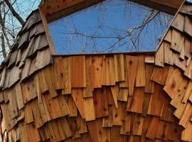 T'glamp Bee house