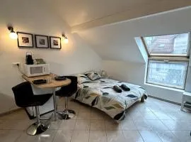 Le Mirande Studio indépendant dans maison