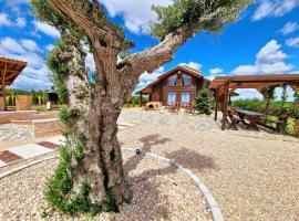 Casa rural Caba&ntilde;a de la Huerta，位于Navahermosa的木屋