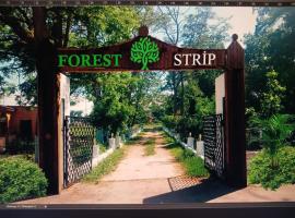 Forest Strip，位于Xudat的酒店