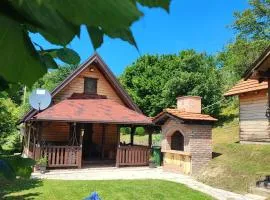 Brvnara na bregu