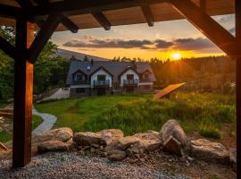 Rezydencja Borowice，位于波洛维切的带泳池的酒店