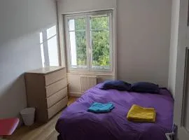 Chambre double confortable, au calme et très proche du centre-ville de Lyon