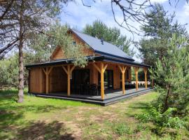 GOOD PLACE nad Jeziorem Białym，位于戈斯蒂宁的酒店