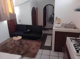 Departamento Cerca Del Malecon, Estadio De Beisbol y Acuario
