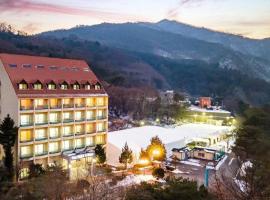 Cheongpyeong Family Hotel Caviar Resort，位于加平的酒店