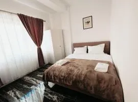 Luxury Cozy Apartments Suceava